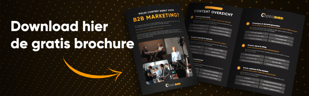 B2B Marketing brochure Form